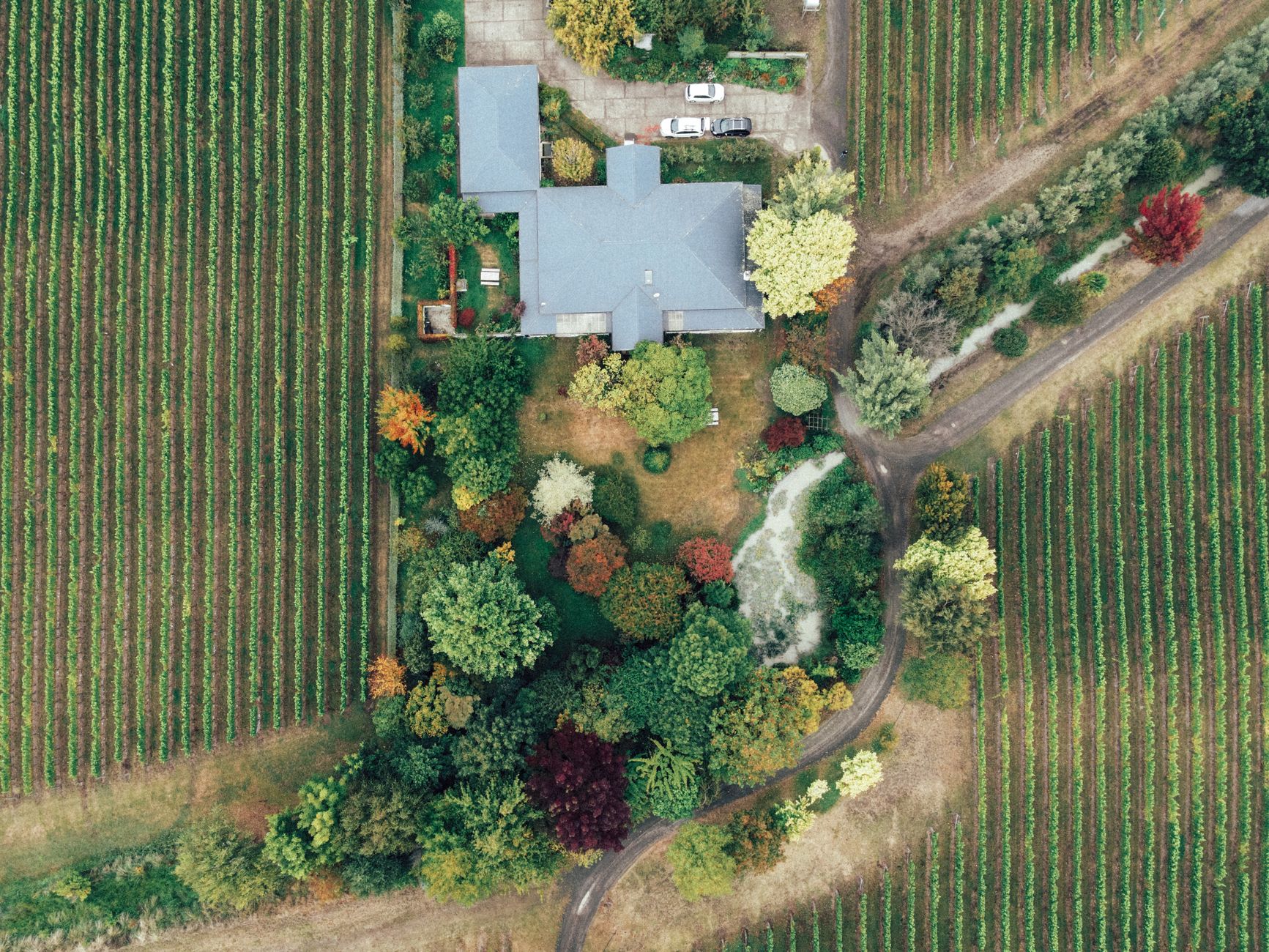 Okanagan real estate vineyard home